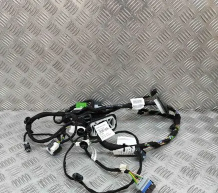 Front door wiring loom