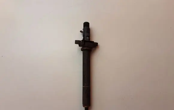 Peugeot 508 Fuel injector 9688438580