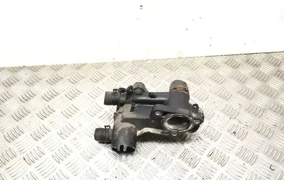 Thermostat/thermostat housing