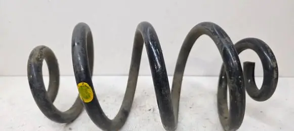 Nissan X-Trail T31 Rear coil spring 55020JG20A