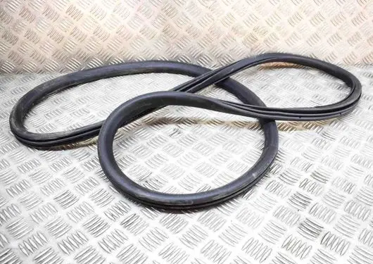 Ford Mustang Mach-E Rubber seal rear door LJ8BR20708AA