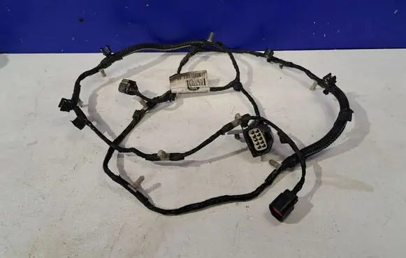 Land Rover Range Rover L405 Other wiring loom DK5214F238AC