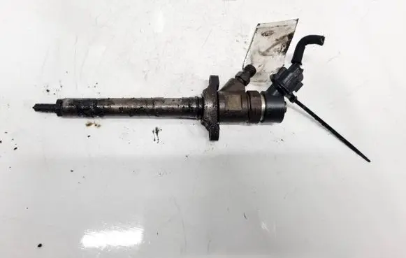 Citroen Jumpy Fuel injector 0445110239