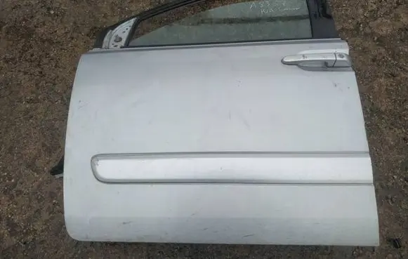 KIA Carnival Front door pilkos