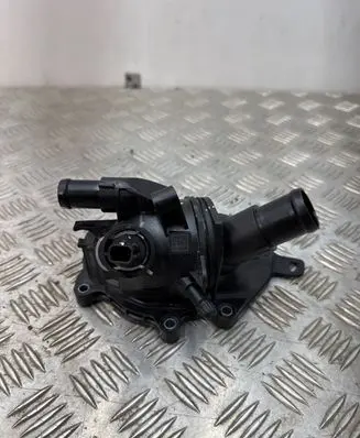 Thermostat/thermostat housing