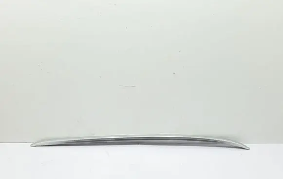 Renault Megane IV Roof bar rail 738205207R