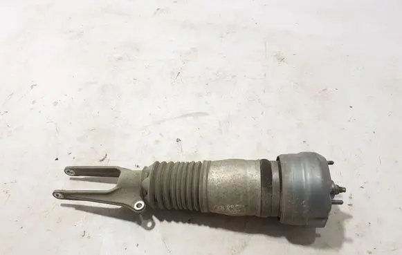 Porsche Panamera (970) Front shock absorber/damper 97034305218