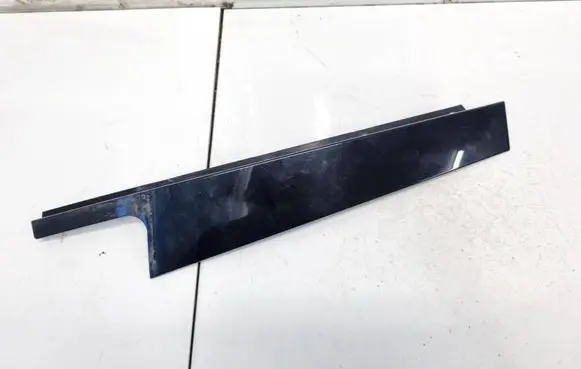 Other rear door trim element