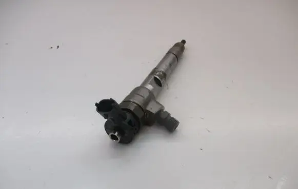 Renault Kangoo II Fuel injector H8201636333 0445110800 K9K872