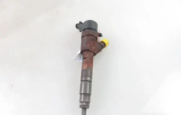 Renault Megane II Fuel injector 8200100272 0445110110B