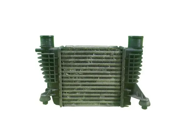 Nissan Juke I F15 Intercooler radiator 144611KB1A 17AB79