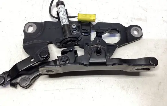 BMW 6 F06 Gran coupe Engine bonnet/hood hinges 7249888 0589P1000095 724988809