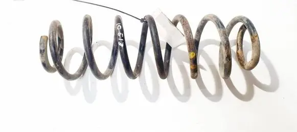 Rear coil spring