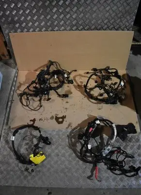 BMW X3 G01 Wiring harness 