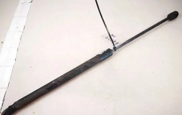 Tailgate/trunk strut/damper