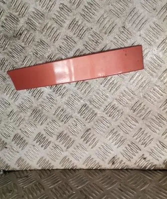 Rear/tail light trim molding
