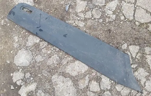 Mercedes-Benz Sprinter W906 Rear door trim (molding) A9066901962