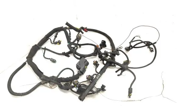 Fiat Bravo Engine installation wiring loom 00552072460