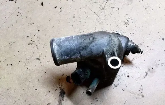 Thermostat/thermostat housing