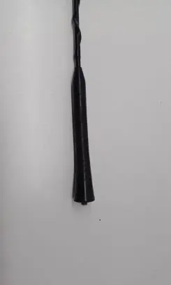 Toyota RAV 4 (XA30) Radio antenna 