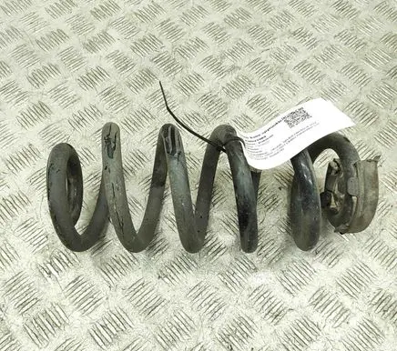 Rear coil spring
