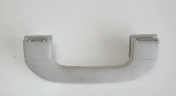 BMW X3 G01 Rear interior roof grab handle A1698100151