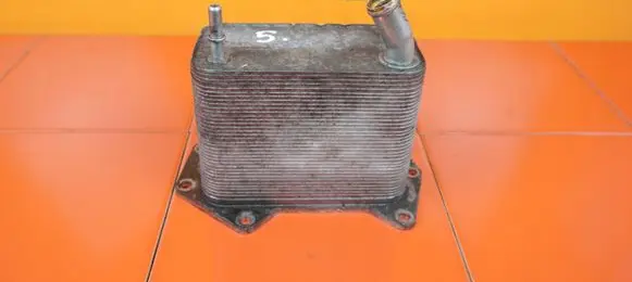 Land Rover Range Rover L322 Engine oil radiator 368DT