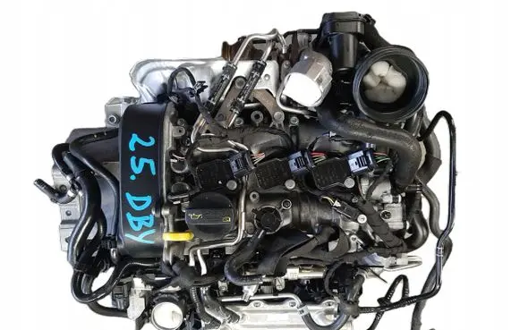 Volkswagen Polo VI Engine DBY