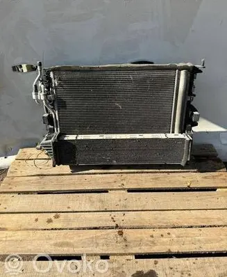 Ford Focus Coolant radiator CV618C342BA