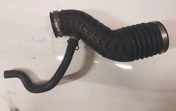 Nissan Qashqai Air intake hose/pipe 1022314S01