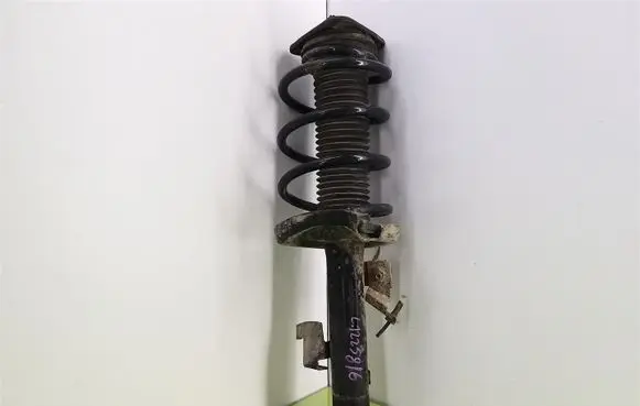 Ford C-MAX II Front shock absorber with coil spring 