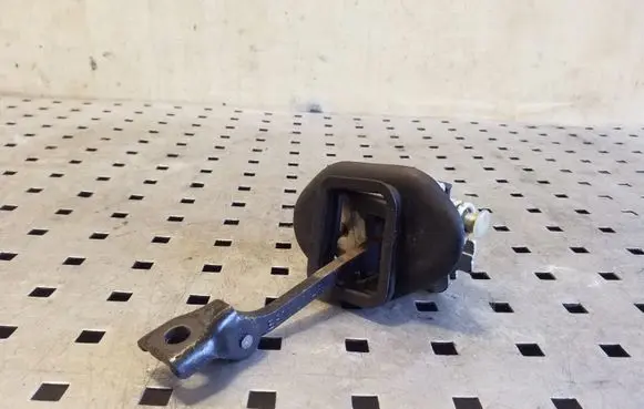 Citroen DS4 Rear door check strap stopper