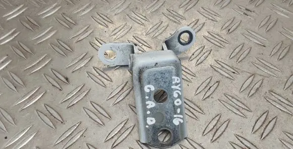 Rear door lower hinge