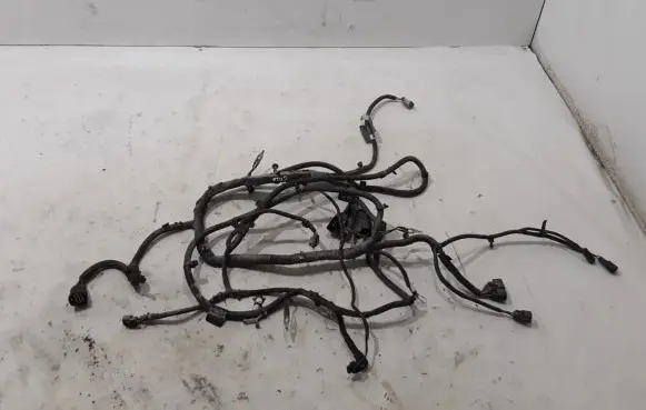 Ford Ranger Other wiring loom 2406478