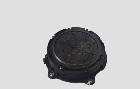 Citroen C5 Front door speaker