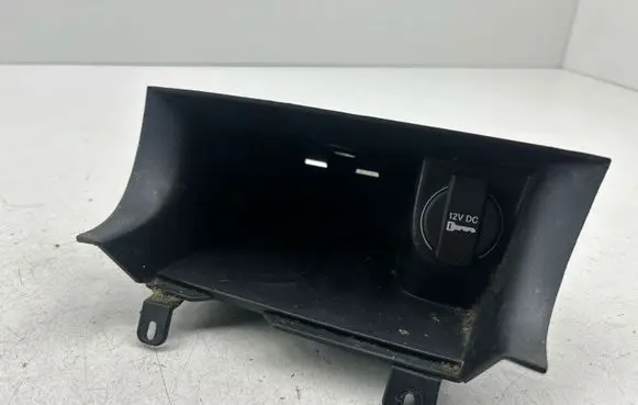 Dodge Charger Panel trim L0199025AB