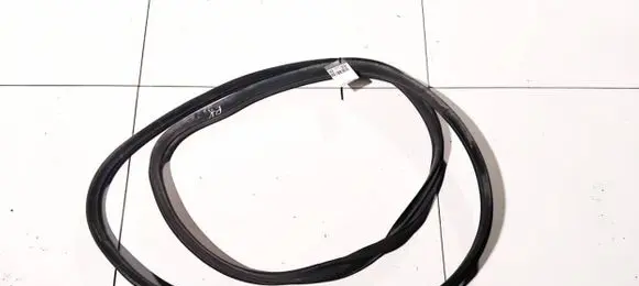Citroen C3 Rubber seal front coupe door 