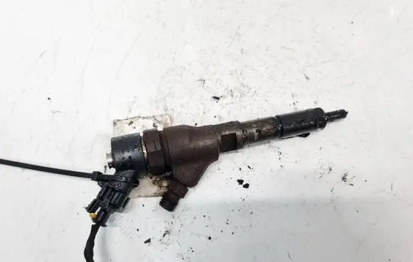 Citroen C5 Fuel injector 0445110076 9641742880