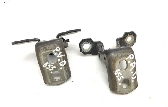 Renault Laguna III Front door hinge set NV676