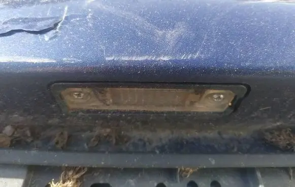 Volkswagen PASSAT B6 Number plate light 