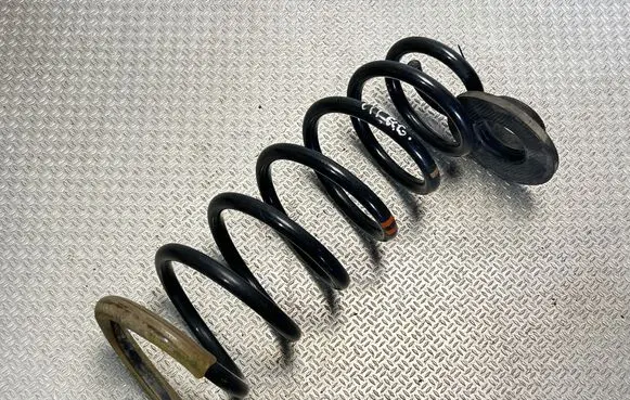 Rear coil spring