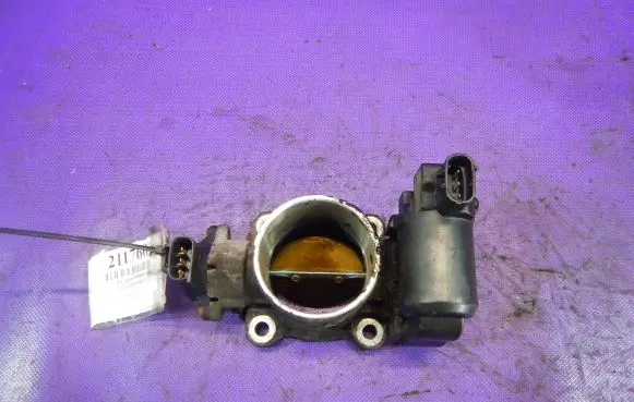 Throttle body valve