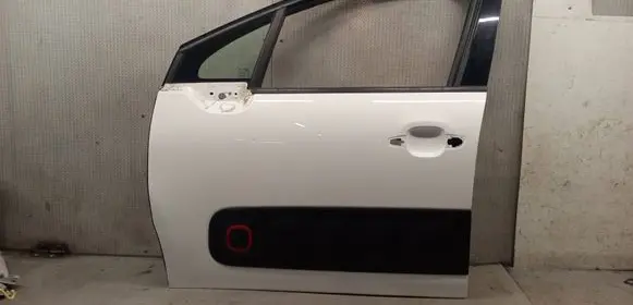 Citroen C3 Front door 