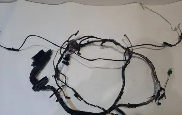 BMW X6 E71 Front door wiring loom 924207601