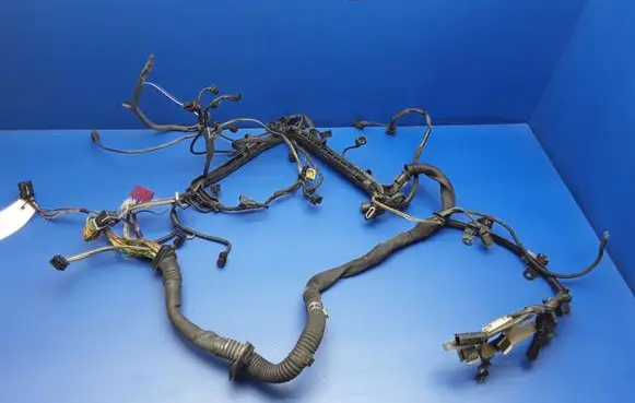 Engine installation wiring loom