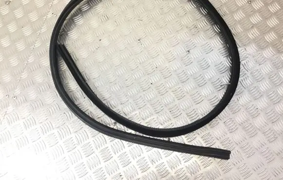 BMW 6 F12 F13 Rubber seal front coupe door 7221181