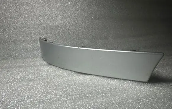 Rear/tail light trim molding