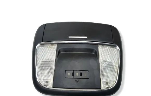 Dodge Charger Front seat light LTHM7003