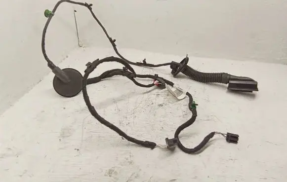 Rear door wiring loom