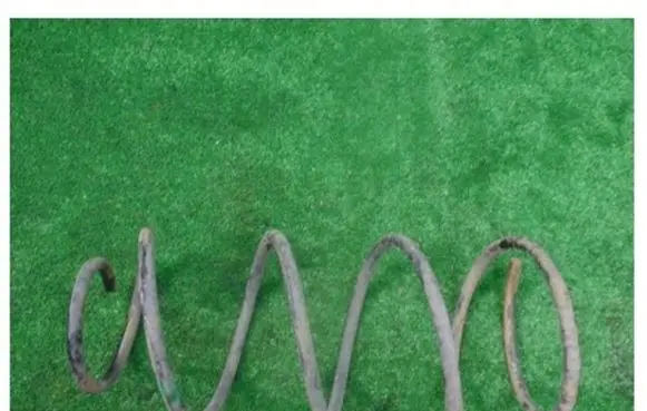 Fiat Tipo Front coil spring